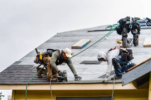 Professional Storm Damage Roof Repair technician working in Eldorado, OH
